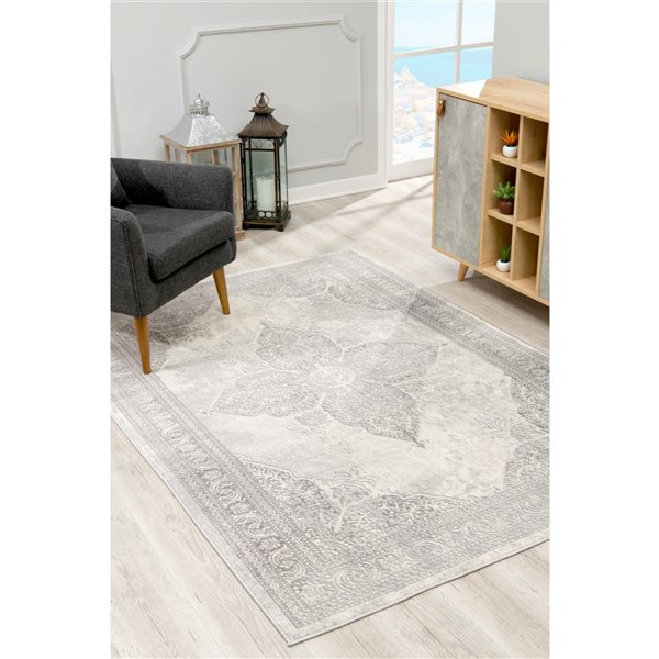 Rug Branch Tapis d'intérieur transitionnel marocain sud-ouest gris beige - 4x6