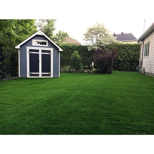 Gazon synthétique OasisMaxx de Trylawnturf, 15 pi x 6,6 pi, vert