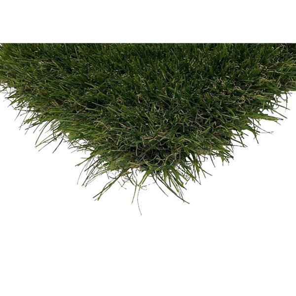 Gazon synthétique OasisMaxx de Trylawnturf, 15 pi x 6,6 pi, vert