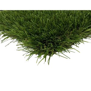 Gazon synthétique Topaz de Trylawnturf, 15 pi x 6 pi, vert