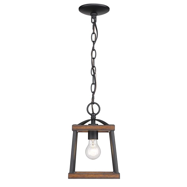 Golden Lighting Teagan Mini Pendant Light - Black