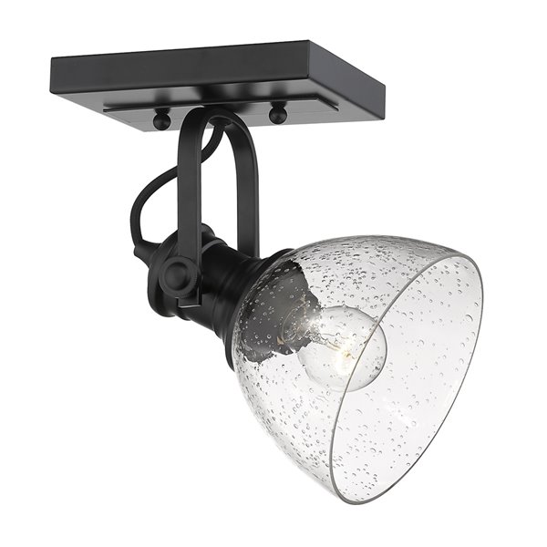 Golden Lighting Hines 1-Light Semi-Flush Lighting - Black