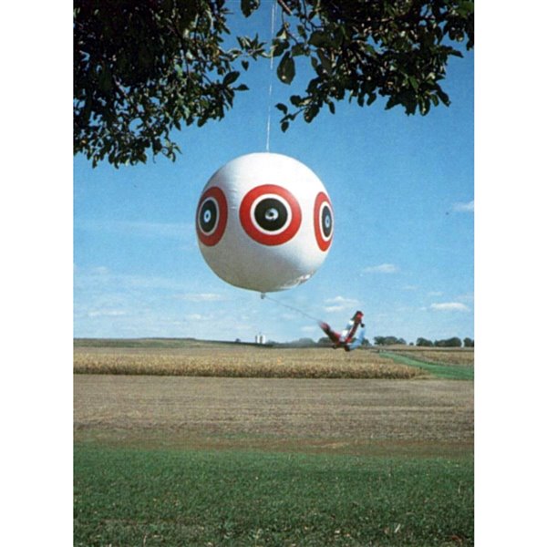 Bird-X Giant Scare-Eyes - White