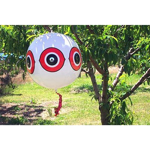 Bird-X Giant Scare-Eyes - White