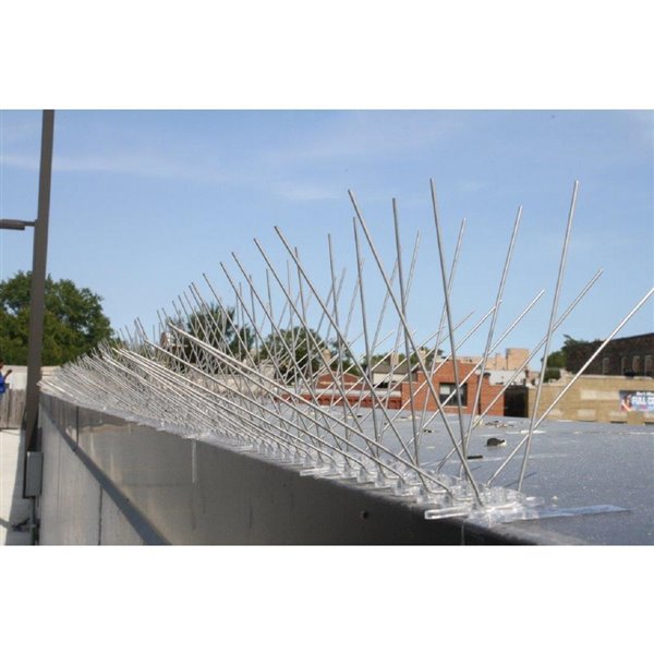 Bird-X Stainless Steel Bird Spikes - 2.5-in x 100-ft