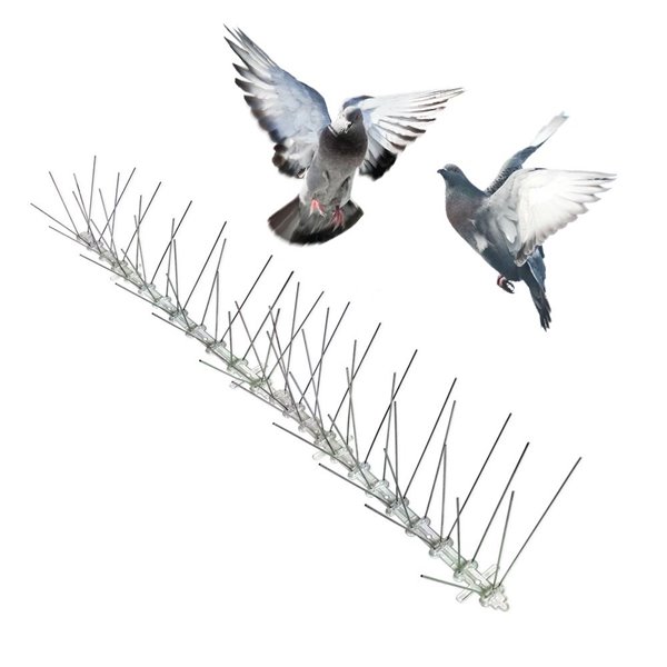 Some birds are using antibird spikes to build their nests