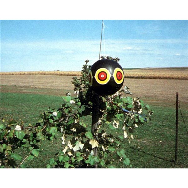 Bird-X Giant Scare-Eyes - Black