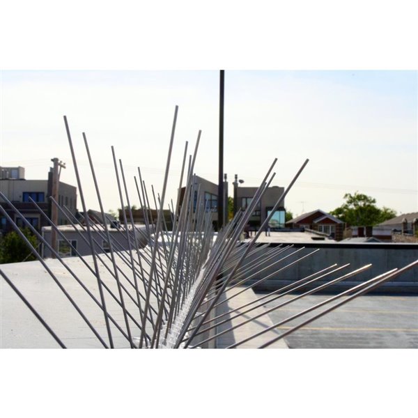 Bird-X Extra Wide Stainless Steel Bird Spikes - 10-ft Kit