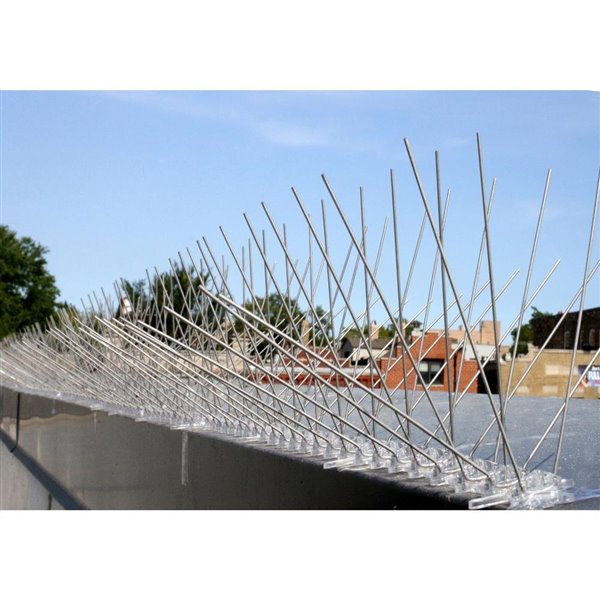 Bird-X Extra Wide Stainless Steel Bird Spikes - 10-ft Kit