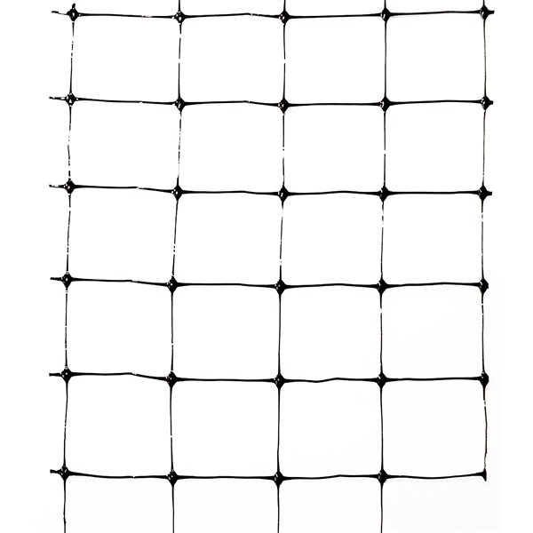 Bird Net 2000 3/4'' Bird Netting - 25 x 25 ft