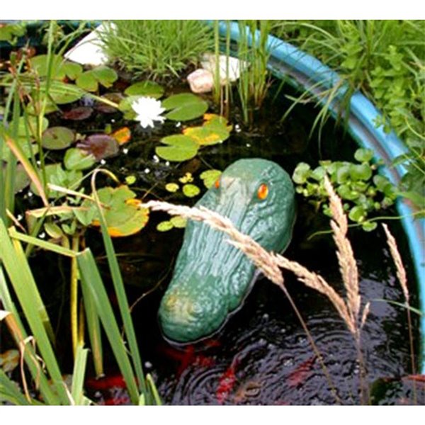 Bird-X Gator Guard Lifelike Predator Decoy