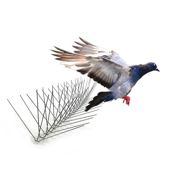 Bird-X Extra Wide Stainless Steel Bird Spikes - 50-ft Kit