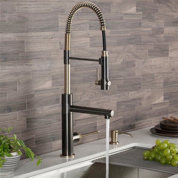 Kraus Artec Pro 2 Function Commercial Style Pre Rinse Kitchen Faucet With Deck Plate Gold Black Kpf 1603sbbg Dp03sb Rona