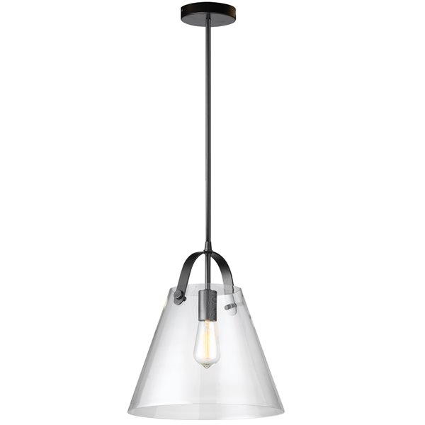 Dainolite Signature Pendant Light - 1-Light - 12.75-in x 14-in - Black
