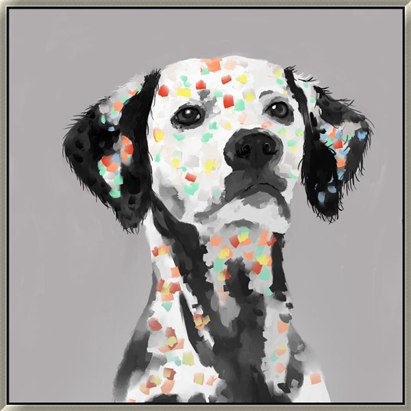 is a rainbow dalmatian a real thing