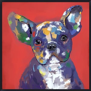 Oakland Living Wall Art - Rainbow Fench Bulldog - Black Frame - 39-in x 39-in