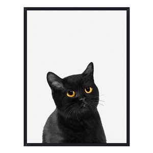 Oakland Living Acrylic Wall Art - Black Cat - Black Wood Frame - 35-in x 47-in