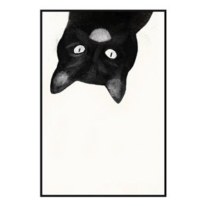 Oakland Living Wall Art - Upside Down Kitten - White Wood Frame - 24-in x 35-in