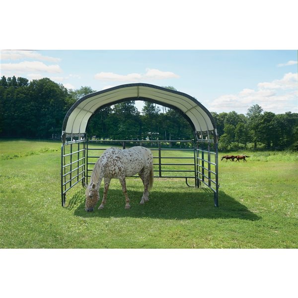 ShelterLogic Corral 12-ft x 12-ft Green Polyethylene Shelter