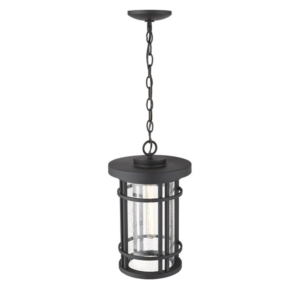 Z-Lite Jordan 1 Light Outdoor Chain Mount Ceiling Fixture - 10-in x 16.25-in - Black/Seedy Glass