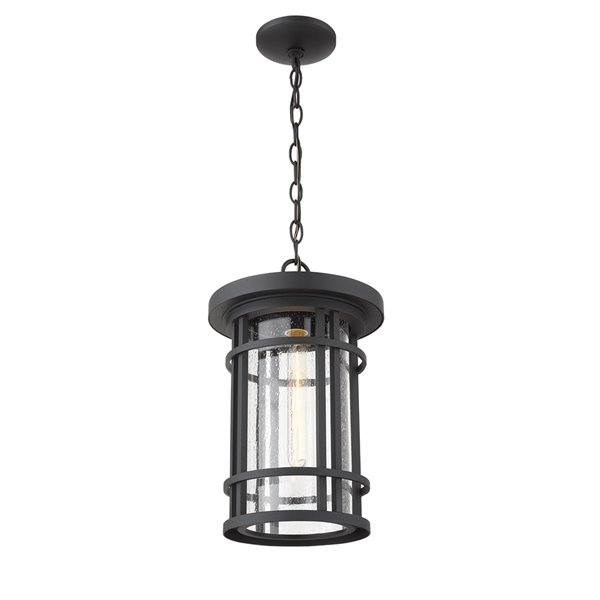 Z-Lite Jordan 1 Light Outdoor Chain Mount Ceiling Fixture - 10-in x 16.25-in - Black/Seedy Glass