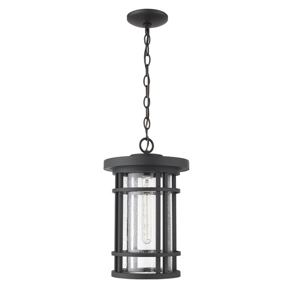 Z-Lite Jordan 1 Light Outdoor Chain Mount Ceiling Fixture - 10-in x 16.25-in - Black/Seedy Glass