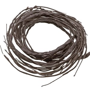 Guirlande lumineuse intérieure/extérieure à DEL de Paradise, 120 V, 9 pi