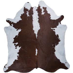 Tapis décoratif Ormsby de Notre Dame Design, 7 pi x 5 pi