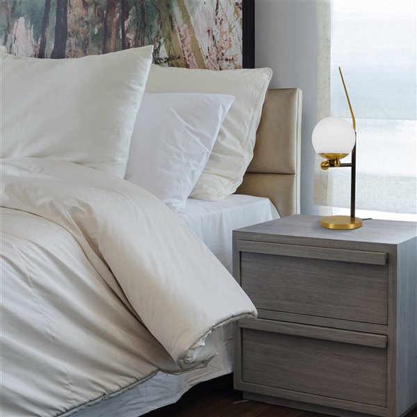 VONN Lighting Chianti 22-in Integrated LED ETL Certified Table Lamp, AB