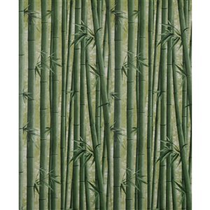 Dundee Deco Falkirk McGowen Peel and Stick Wallpaper Floral Printed Green Bamboo Shoots - 26.6 Sq. ft.