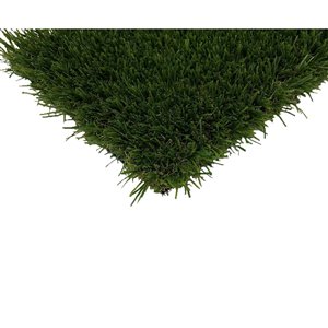 Gazon synthétique Quantum2020 de Trylawnturf, polypropylène, 10 pi x 5 pi, green