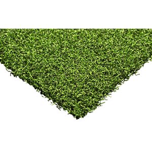 Trylawnturf Putting Green Max Synthetic Turf - Polypropylene - 15-ft x 6-ft - Green