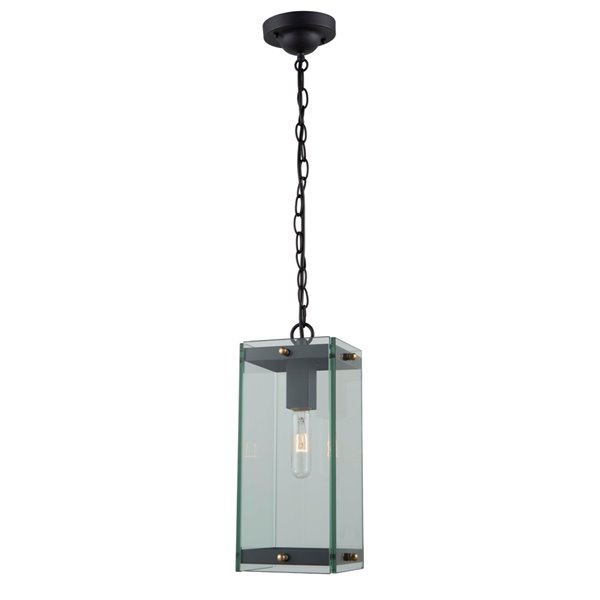 Artcraft Lighting Bradgate AC8145BK 1-Light Pendant - 19.5-in x 19.25-in - Matte Black/Harvest Brass