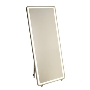 Artcraft Lighting Reflections AM311 LED Mirror - 27.5-in x 67-in - Brushed Aluminum