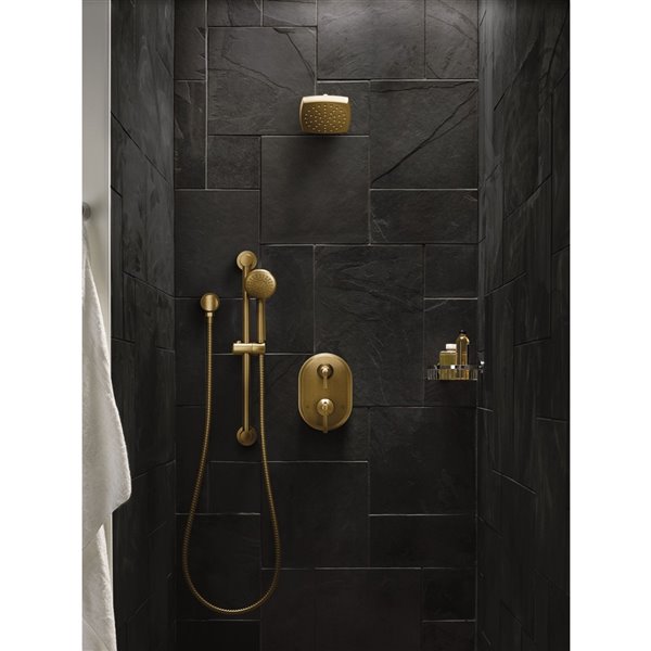 MOEN Brushed Gold Drop Ell A725BG RONA