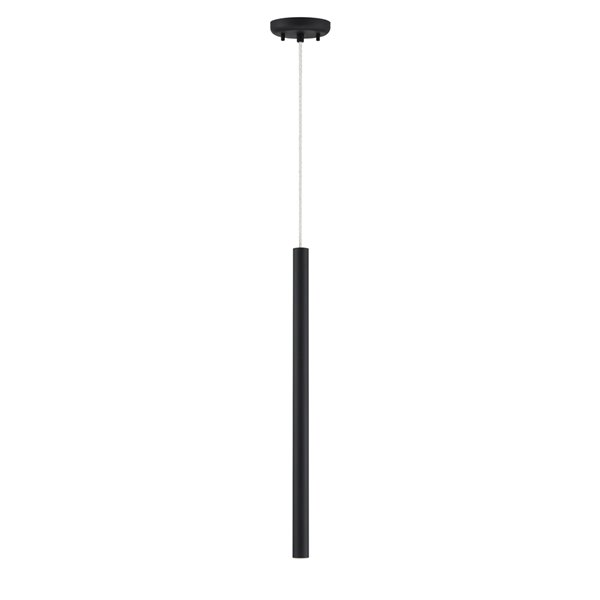 Z-Lite Forest 1-Light Mini Pendant in Matte Black Finish