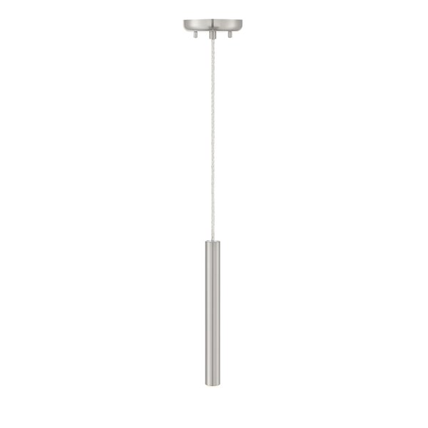 Z-Lite Forest 1-Light Pendant in Brushed Nickel Finish