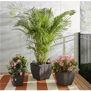 Jardinière intérieur/extérieur Nesting de Cosco, 3 pièces, gris