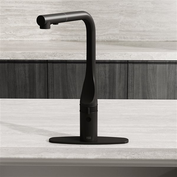 VIGO&nbsp;10-in Deck Plate - Matte Black