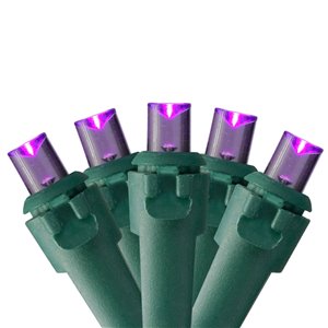 Northlight 50-Count Constant Purple LED Electrical-Outlet Indoor/Outdoor 16.25-ft Christmas String Lights