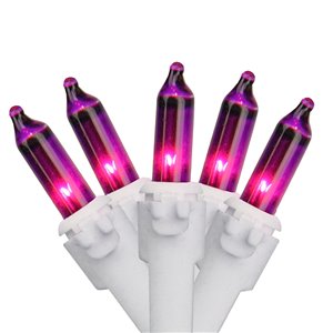 Northlight 100-Count Constant Purple Incandescent Electrical-Outlet Indoor/Outdoor 20.25-ft Christmas String Lights