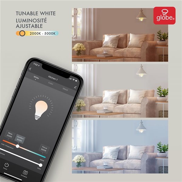 Ampoule Globe Electric DEL intelligente de couleur blanc réglable 60 W équivalent