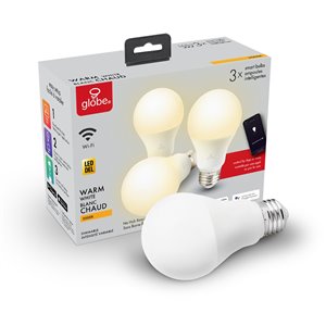 Ampoule Globe Electric DEL givrée à intensité variable, 60 W équivalent, 3000 K
