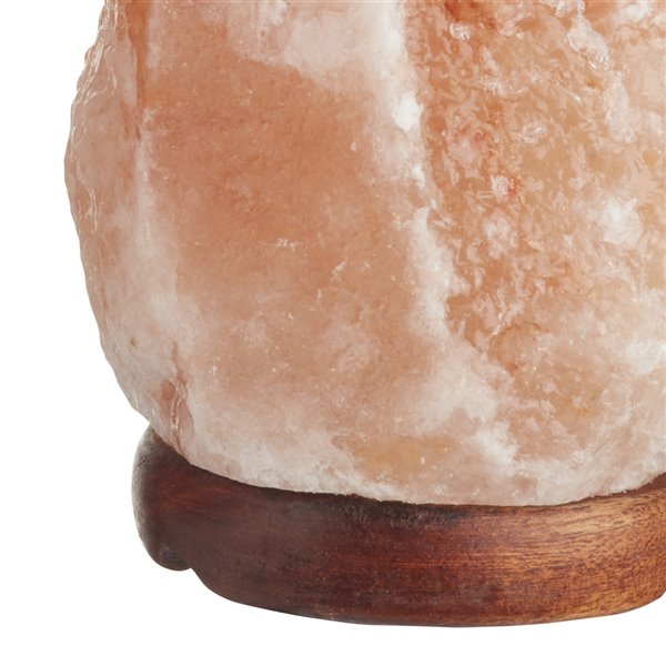 Dakota Fields Lampe de chevet en sel naturel de l'Himalaya rose, câble  certifié, lampe de sel rose de l'Himalaya, avec gradateur et ampoule… -  Wayfair Canada