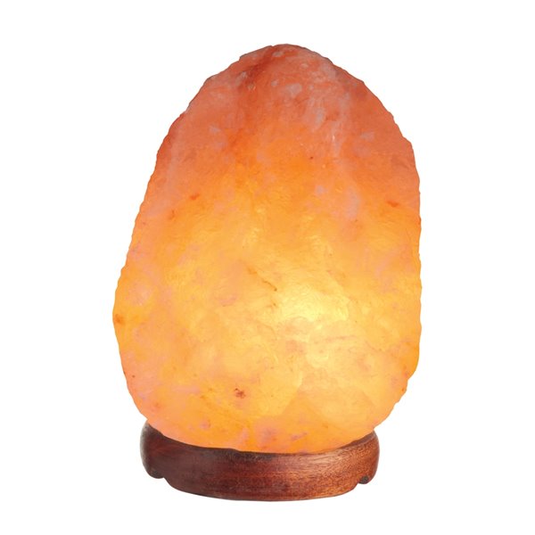 Lampe au sel de l' Himalaya - lampe au sel - 1,5 kg à 2 kg avec câble  avec