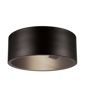 Globe Electric Teagan 1-Light Outdoor Indoor Flush Mount Ceiling Light - Dark Bronze