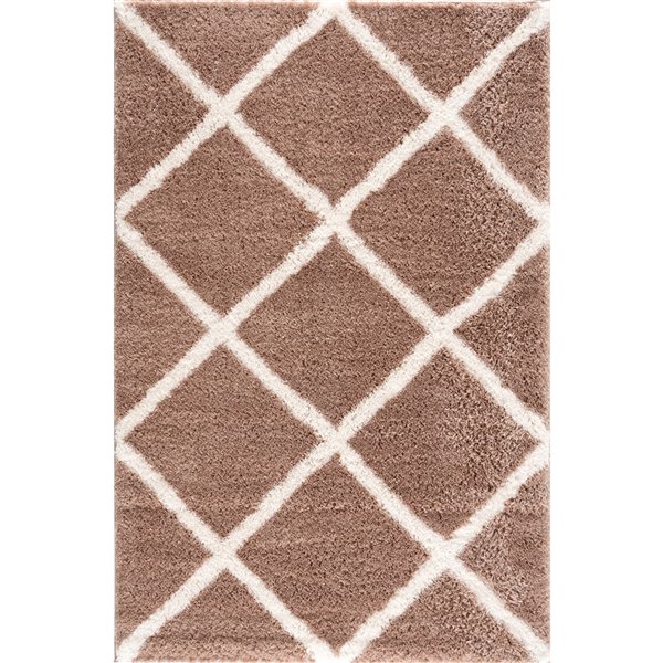 Rug Branch Tapis d'intérieur contemporain Boho Shag Marron Blanc - 8x10