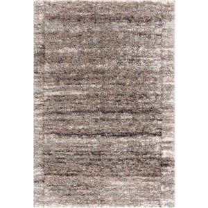 Rug Branch Tapis d'intérieur scandinave contemporain à poils longs beige marron - 4x6