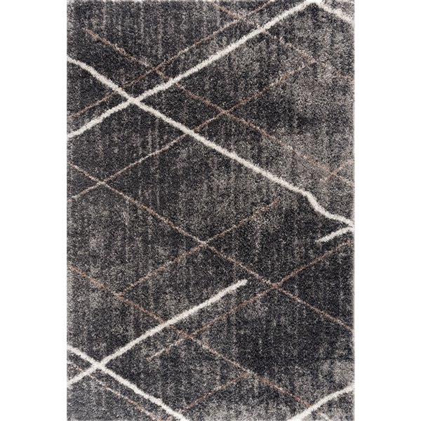 Rug Branch Tapis de paillasson d'intérieur contemporain géométrique Shag gris blanc - 3x5