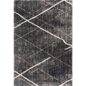 Rug Branch Tapis d'intérieur contemporain à poils longs géométriques gris blanc - 4x6